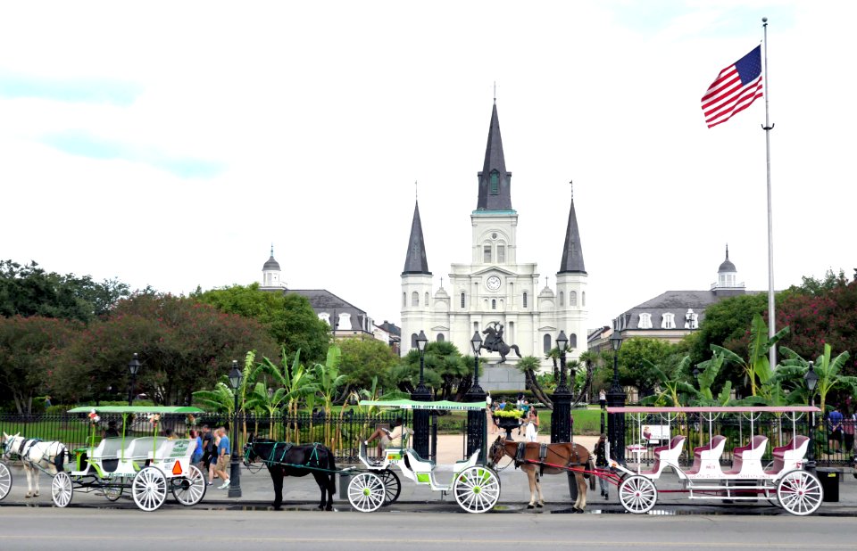 Carriages Jackson Sq New Orleans.