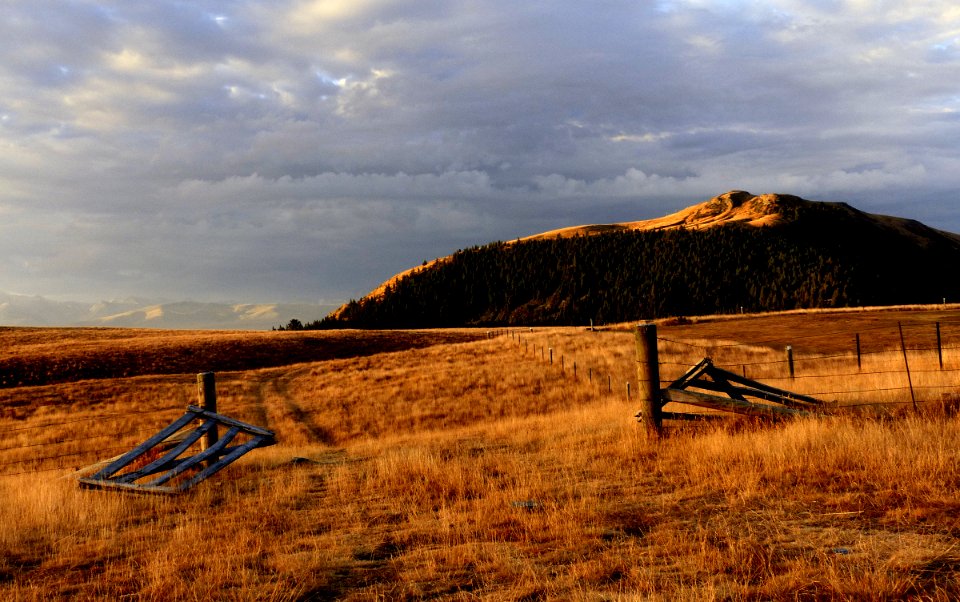 Beyond the farm gate.