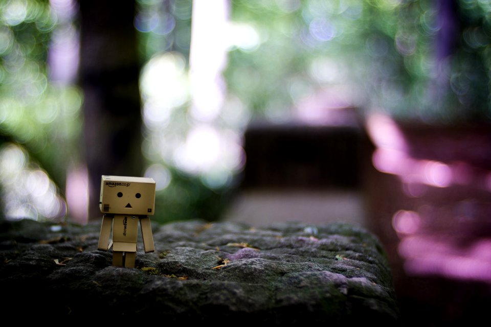 Danbo's bokehrama