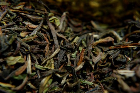 Darjeeling TGFOP1 Jungpana