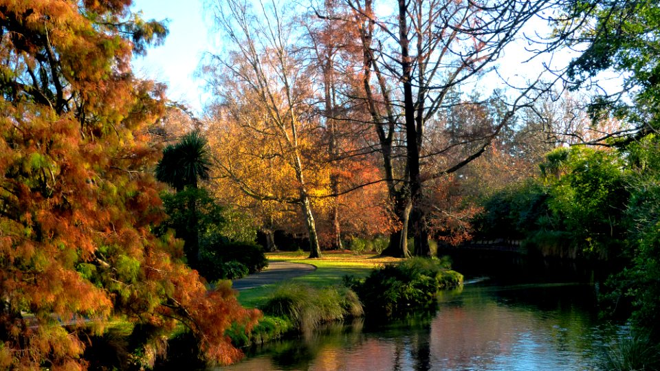 Quitley flows the Avon. Christchurch. photo