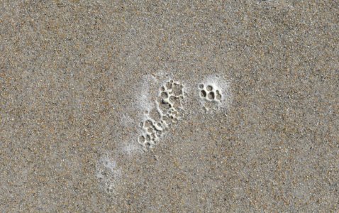 Sand Froth Texture