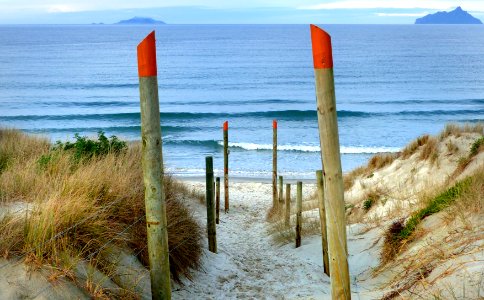 Beach access Ruakaka. NZ photo