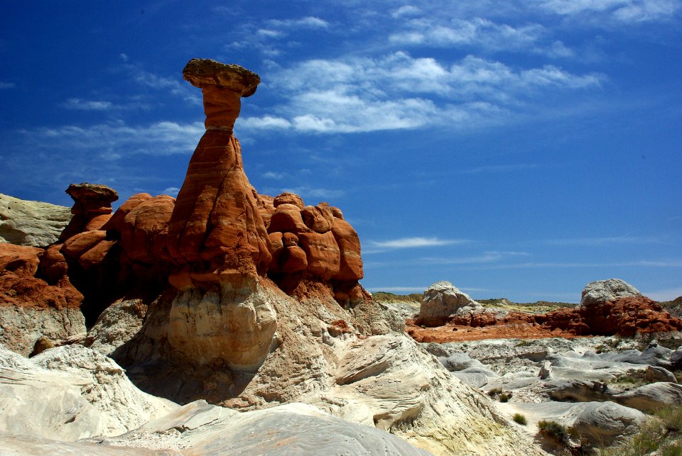 08a - Paria Mushrooms -01