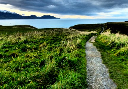 Kaikoura. In camera effects Lumix FZ200.