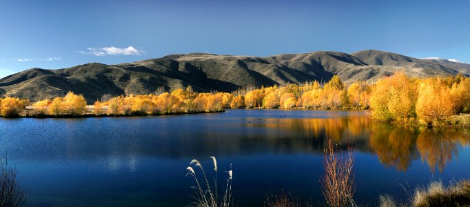 Autumn scene NZ