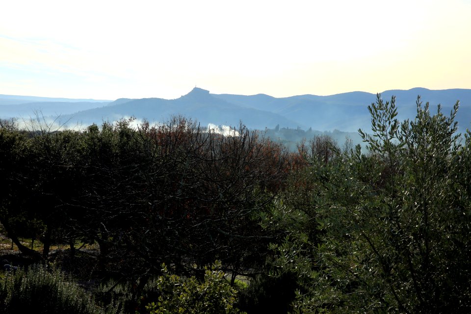 Le Rocher de Sampzon à l'horizon