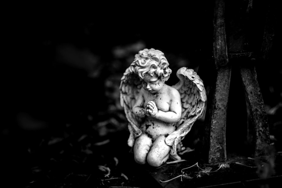 Neulich auf dem Friedhof