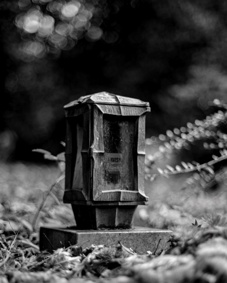 Neulich auf dem Friedhof