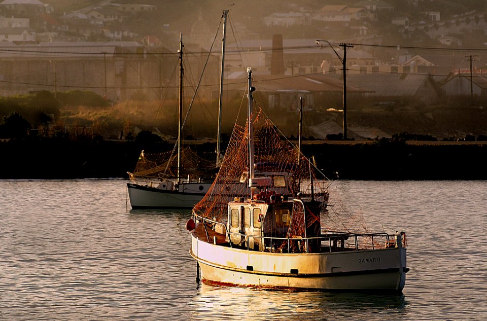 Fishing boats Oamaru NZ