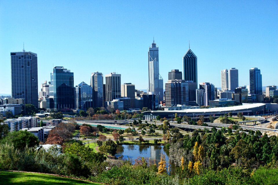 Park australia blue king