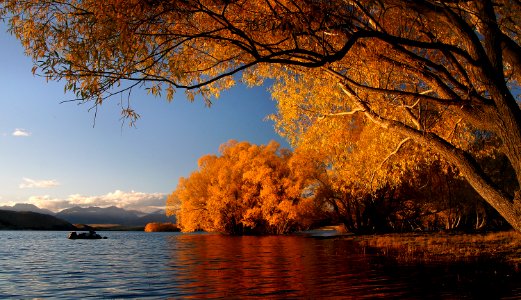Autumn at Lake Tekapo NZ (20) photo