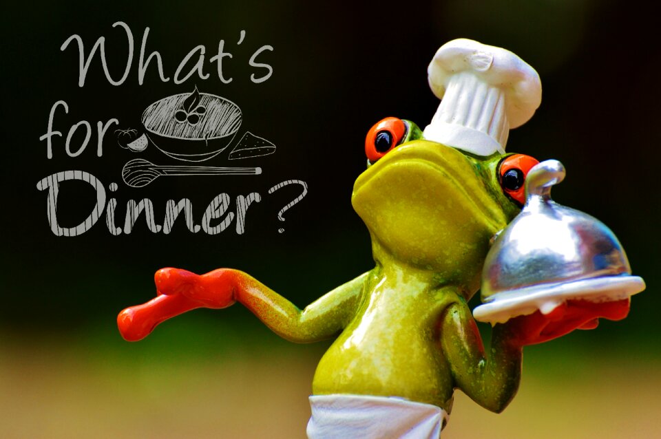 Kitchen gourmet food