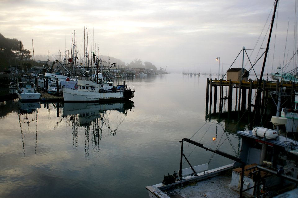 EARLY MORNING AT MORRO BAY HARBOR -054