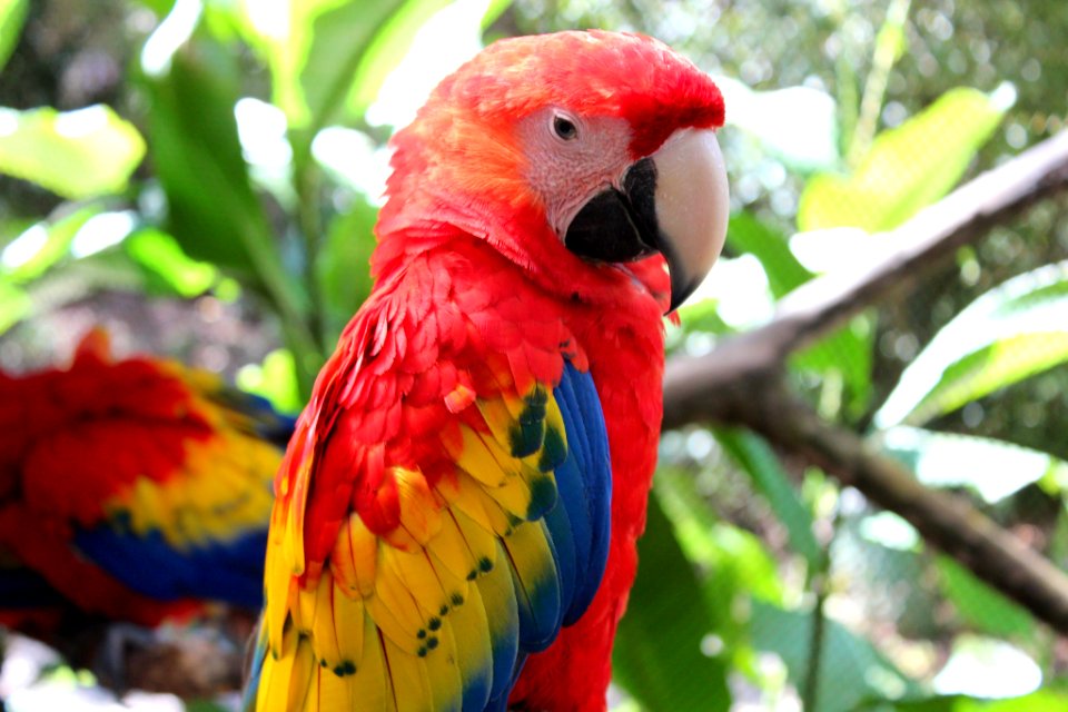 Modern Languages at Finger Lakes Community College - Costa Rica 2013