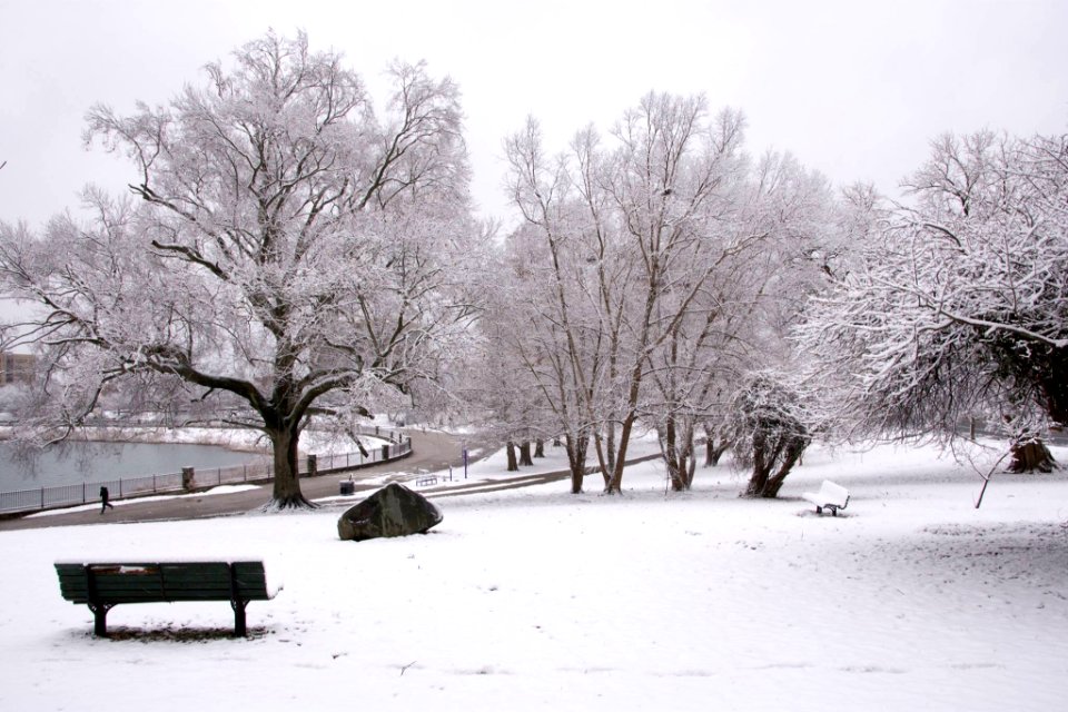 Druid Hill Park