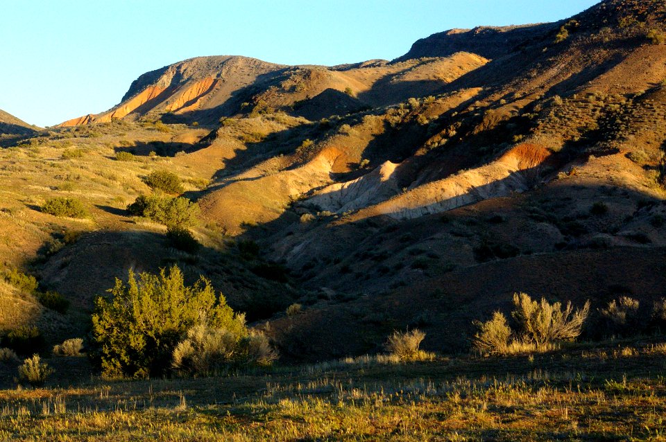 PADRONE CANYON - 3-07--004