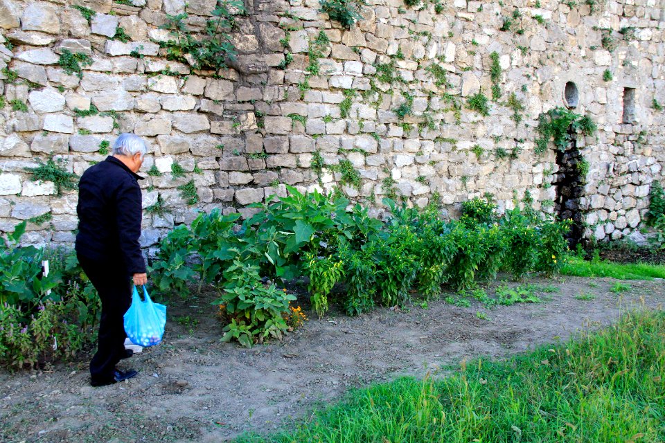 Les jardins libres des berges du Gardon