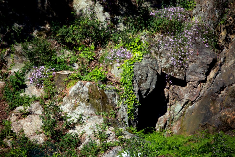 Un logis des fées de roches