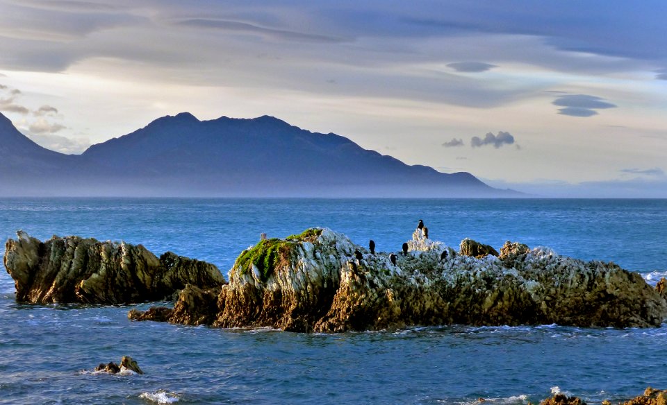 Kaikoura coastline.NZ.