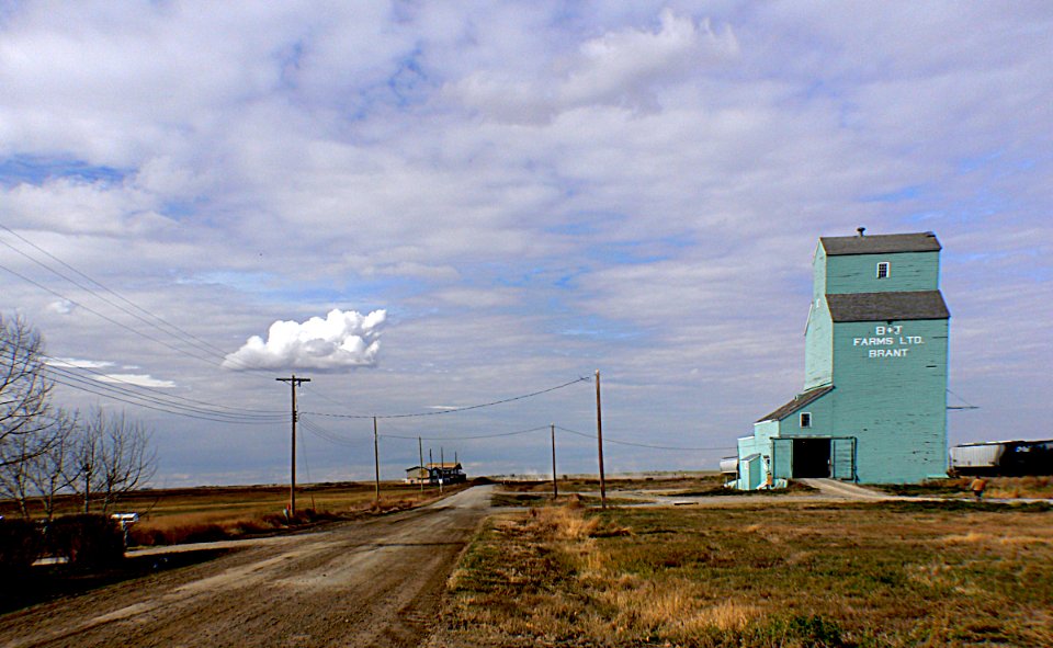 Grain elevators Brant Alberta. photo