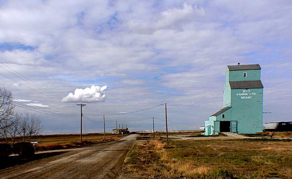 Grain elevators Brant Alberta.