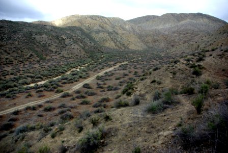 LOWER QUAIL SPRINGS CANYON -1
