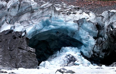 Fox Glacier NZ