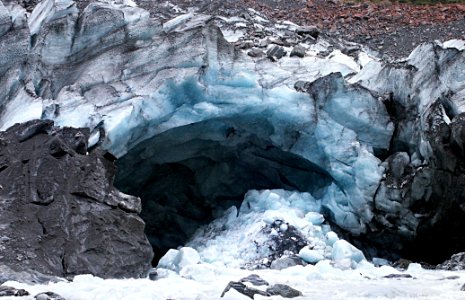 Fox Glacier NZ photo