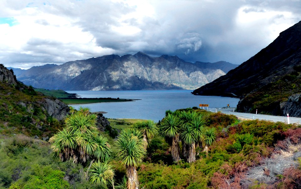 Lake Hawea. Otago NZ