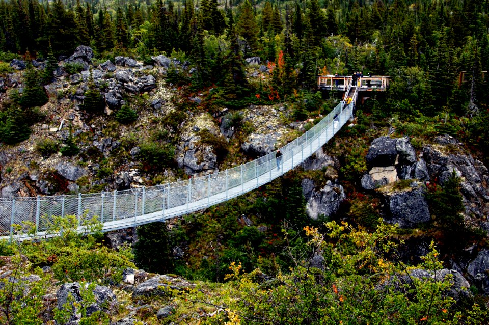 Yukon Suspension Bridge.