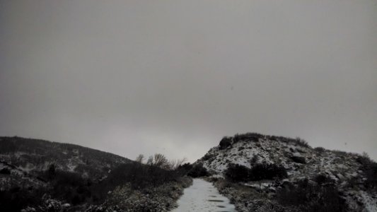 2014-12-14 10.53.46