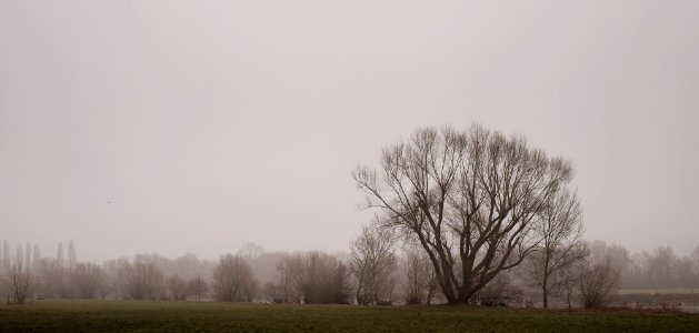 Foggy morning at the riverside photo