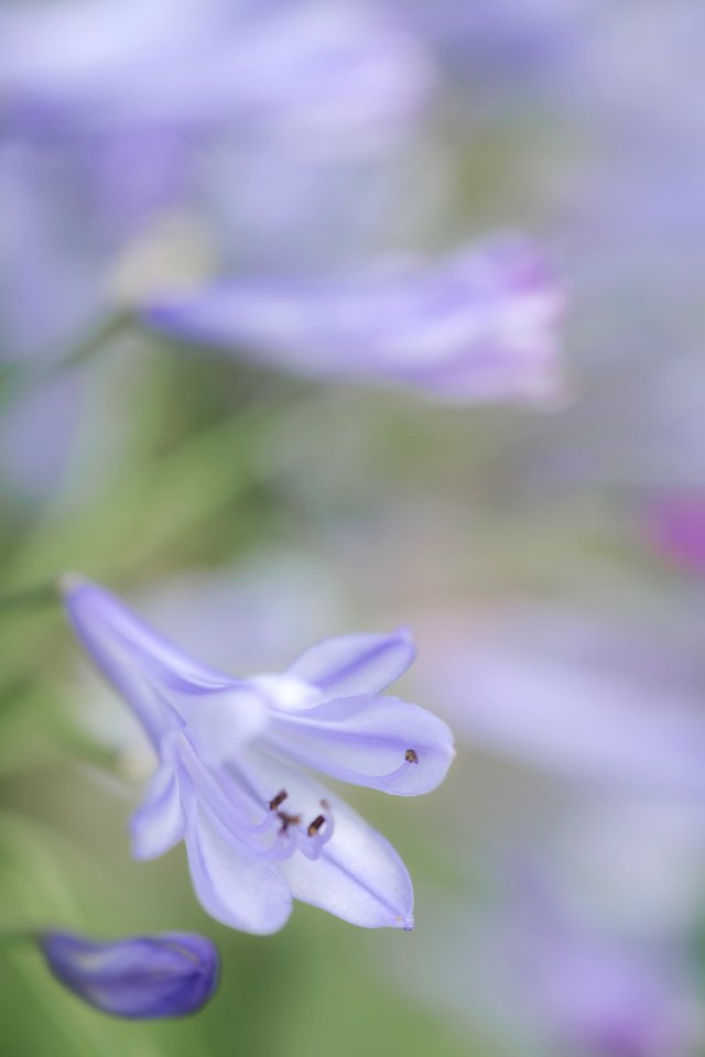 20150809