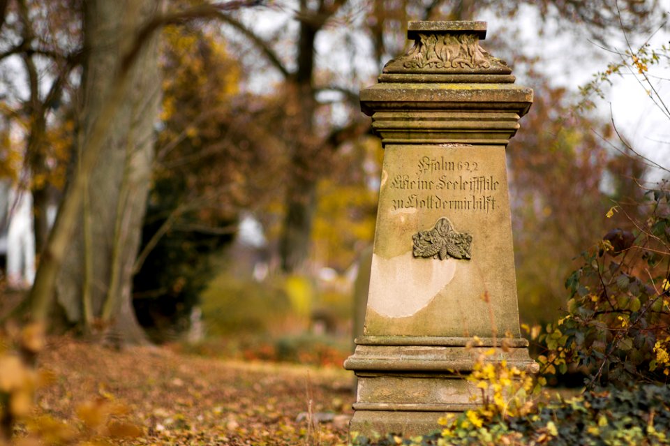 Neulich auf dem Friedhof