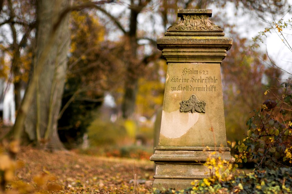 Neulich auf dem Friedhof photo