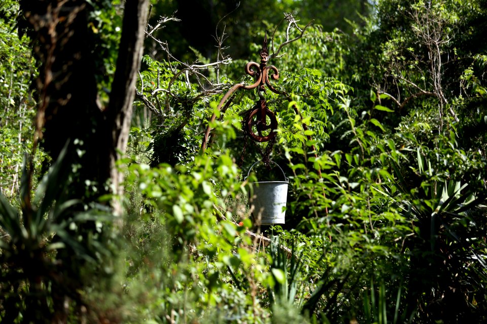 Garrigues et jardins de Provence photo