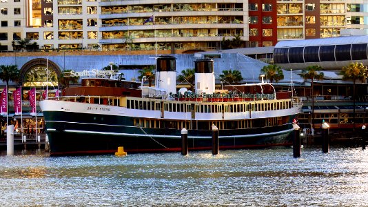 S.S. South Steyne. Darling Harbour. photo