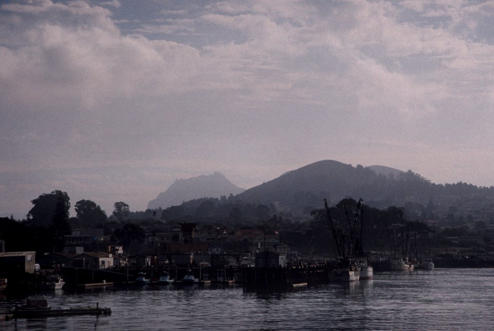 MORRO BAY HARBOR -010