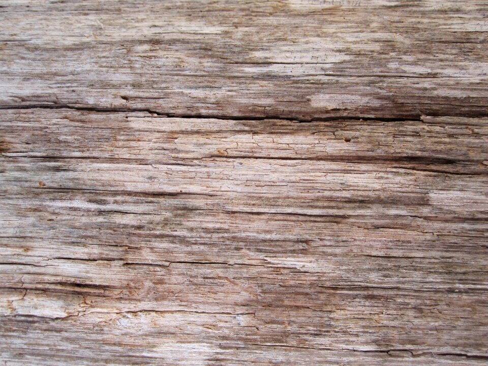 Old dry weathered