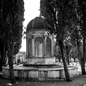 Neulich auf dem Friedhof (1)