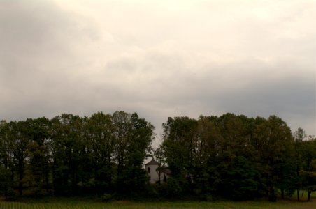 Auf Steinhausen