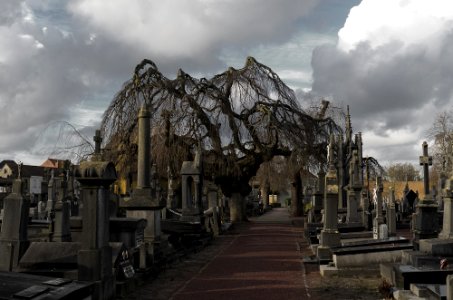 Neulich auf dem Friedhof photo