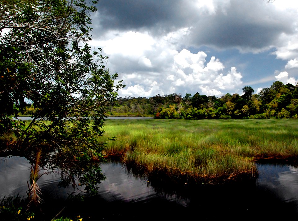 Brunei back country.