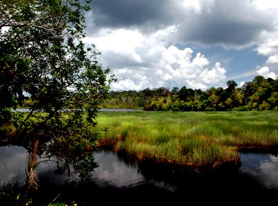 Brunei back country.