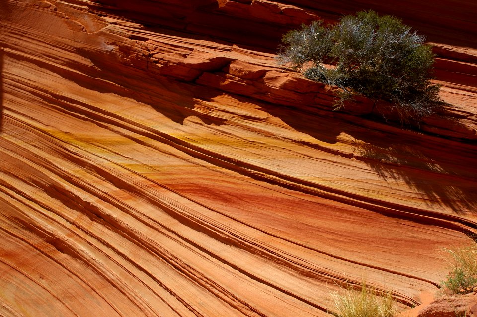 07 - South Coyote Buttes -18