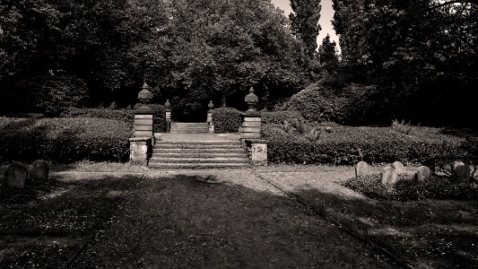 Städtischer Friedhof (16:9) photo