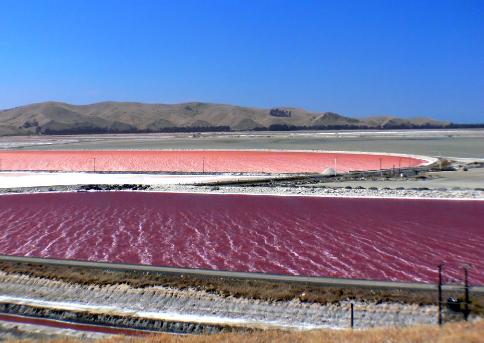 Solar salt. New Zealand.