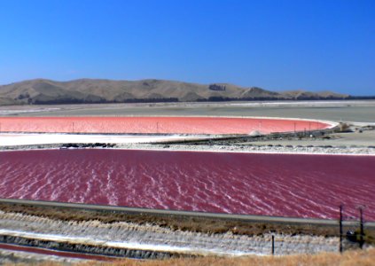 Solar salt. New Zealand. photo