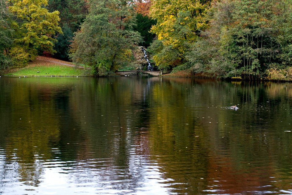 Spaziergang im Stadtpark 1